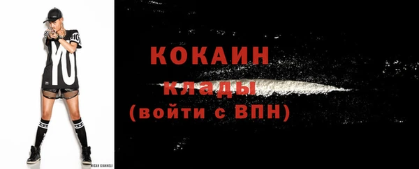 гашик Щёлкино
