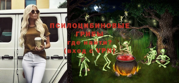 шишки Вязники